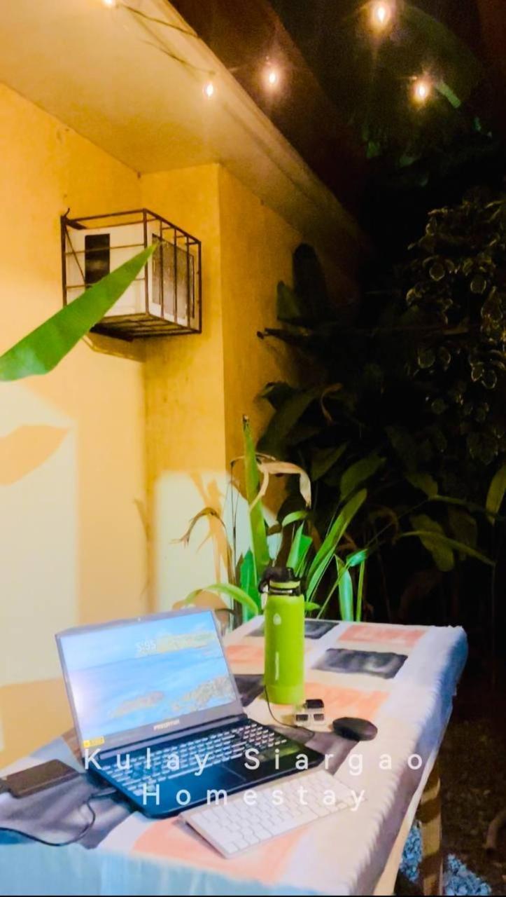 Ameeza Houze Homestay - Siargao General Luna  Εξωτερικό φωτογραφία