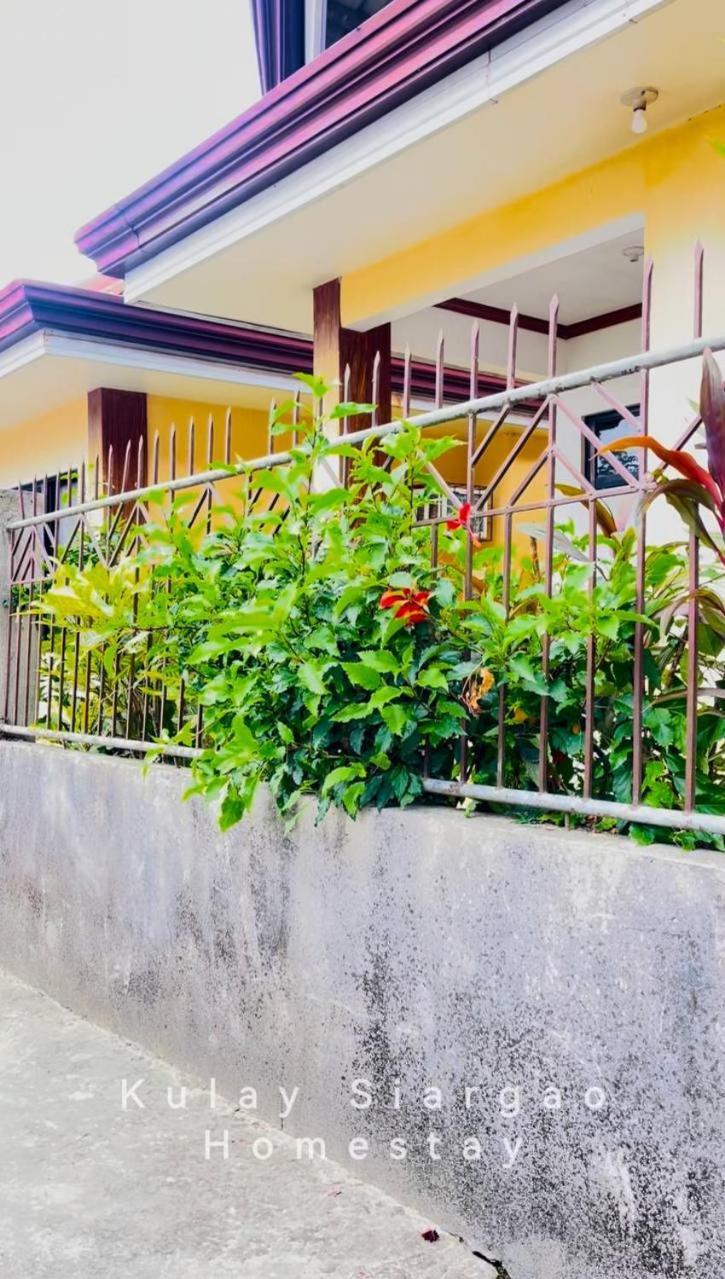 Ameeza Houze Homestay - Siargao General Luna  Εξωτερικό φωτογραφία